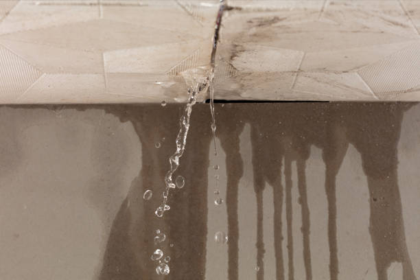 Professional Water Damage Repair technician working in Harriman, TN